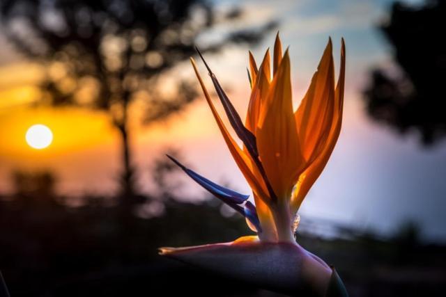 Luna - Finca Manana Los Llanos De Aridane Exteriér fotografie